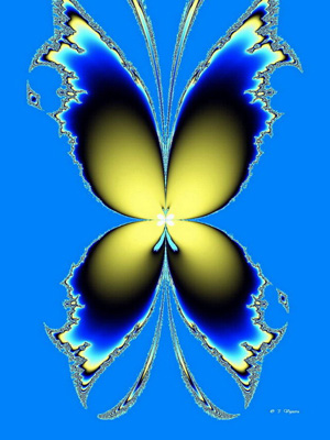 Artwork code: 01-wings/01_71